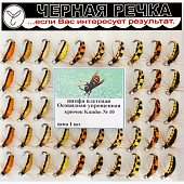 Нимфа "Плетеная Осовидная упрощенная", кр. N12