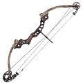 Луки